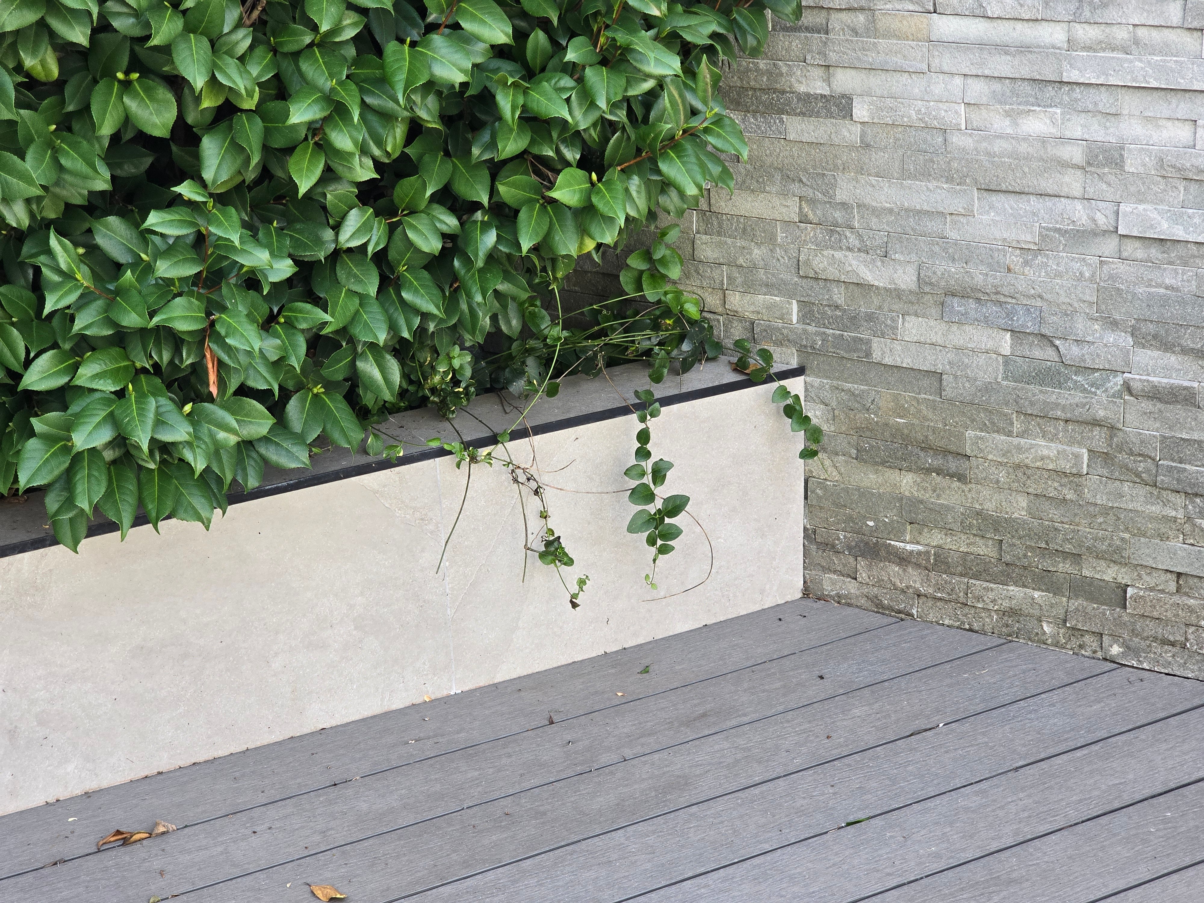 Fotografía del cantero con vegetación sobre el deck exterior